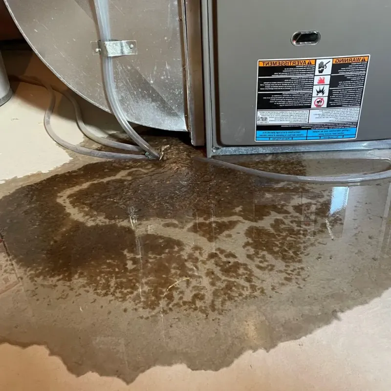 Pipe Burst and Leak Restoration in North Stamford, CT