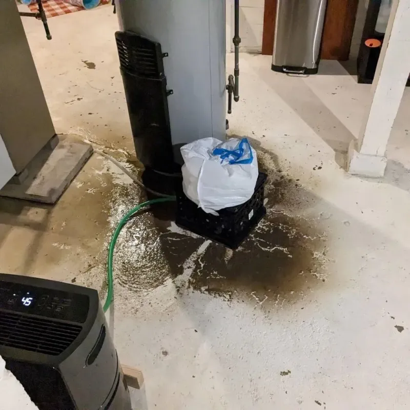 Sewage Backup Cleanup Service in North Stamford, CT